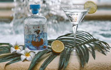 Etsu Japanese Gin