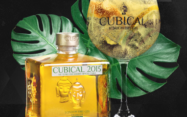 Gin Cubical 2015 Premium