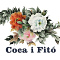 Coca i Fitó 2009