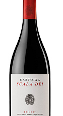 Scala Dei Cartoixa 2013