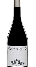 Cámbrico Tempranillo 2009