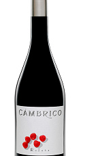 Cámbrico Rufete 2011