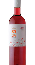 Rosa 2017