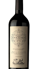 Gran Enemigo Gualtallary Single Vineyard 2013