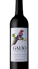 Gaiâo Red 2019