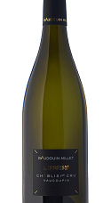 Baudouin Millet Chablis Premier Cru Vaucoupin 2020