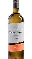 Produit: Cuatro Rayas Vendimia Nocturna Verdejo 2025