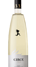 Produit: Circe Verdejo 2025