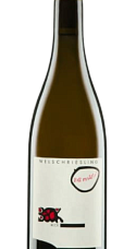Produit: Beck Welschriesling Bambule! 2022