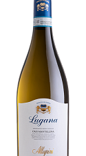 Produit: Allegrini Lugana Oasi Mantellina DOC 2025