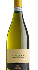 Produit: Cesari Pinot Grigio Delle Venezie 2024