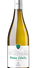 Produit: Pinna Fidelis Verdejo 2025
