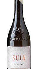Produit: Borsao Suia 2024