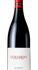 Produit: Forjas del Salnés Goliardo Tinto 2023