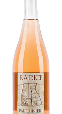 Produit: Paltrinieri Lambrusco di Sorbara Radice 2025