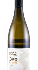 Produit: António Madeira Branco 2024