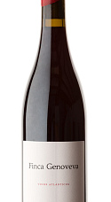 Produit: Finca Genoveva Caíño 2023