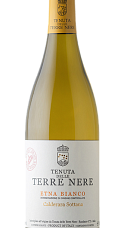 Produit: Terre Nere Etna Bianco Calderara Sottana 2024