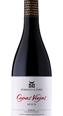 Produit: Dominio de Tares Cepas Viejas 2023