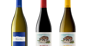 Celler Pardas 