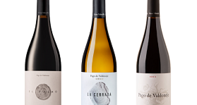 Vinos Valtuille