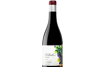 Pétalos 2023