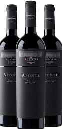 Aponte Reserva 2008 (x3)