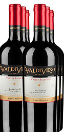 Valdivieso Valley Selection Merlot Gran Reserva 2011 (x6)