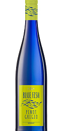 Blue Fish Pinot Grigio 2020